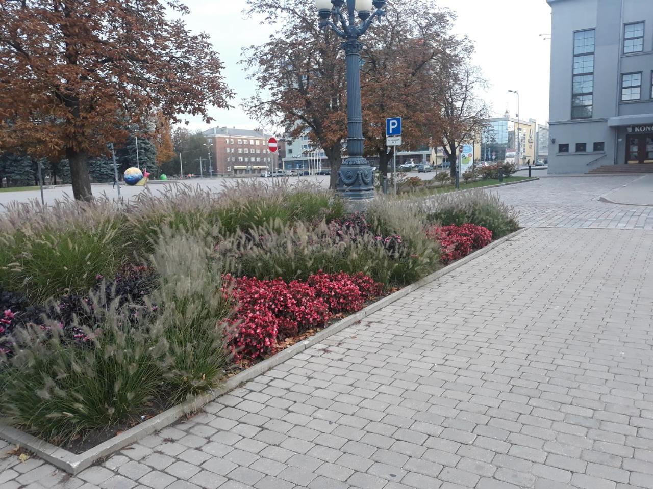 דאוגבפילס Town Center Studio Apartment מראה חיצוני תמונה